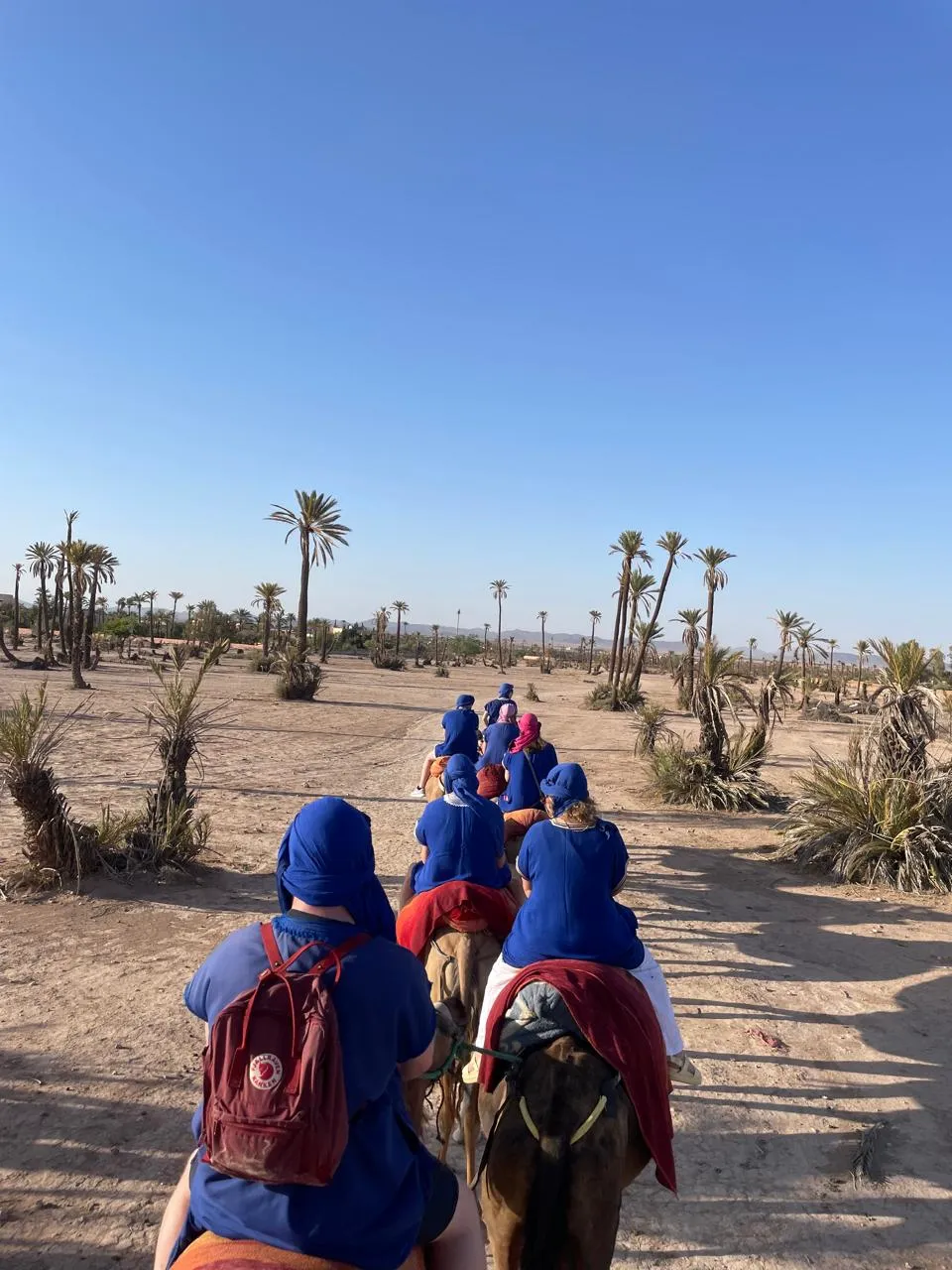 Coucher soleil dromadaire