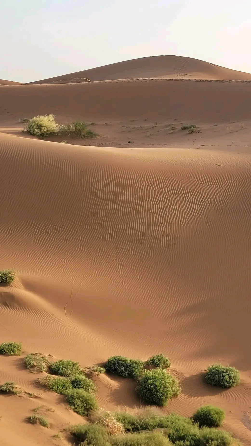 Circuit Zagora Ouarzazate